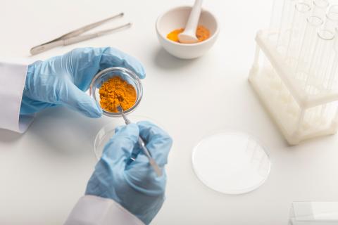 utilizzo della curcuma in farmacia